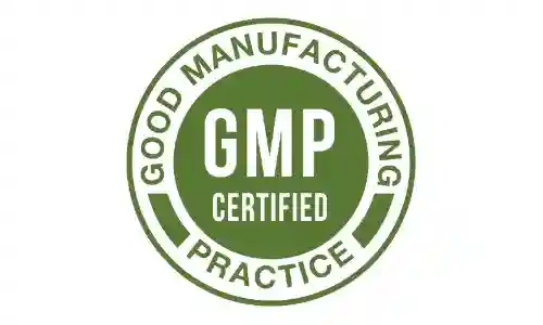 MemoryON GMP Certified Supplement Manufactured Under Quality Standards
